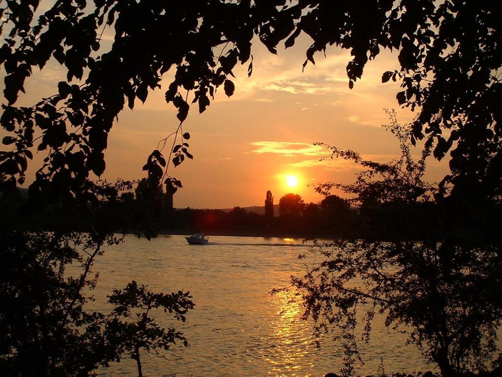 Zur Rheinschanz Bad Honningen Exterior foto